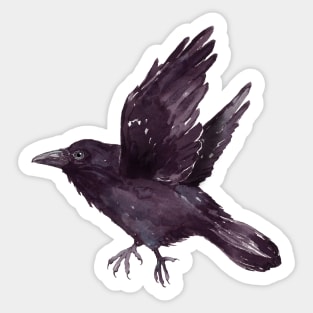 Flying raven watercolor Sticker